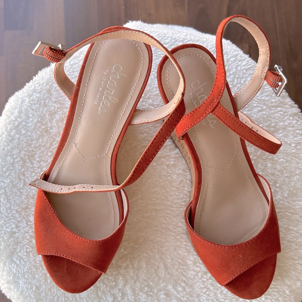 Charles Wedges